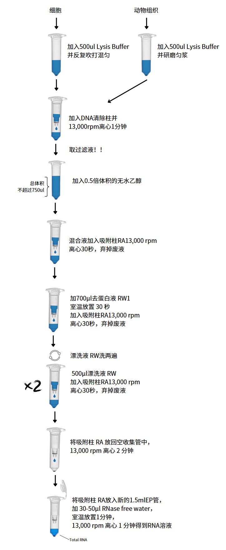 高纯度 RNA 快速提取试剂盒(组织/细胞) - MIKX